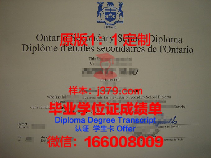 中国国际经济学院毕业证书查询